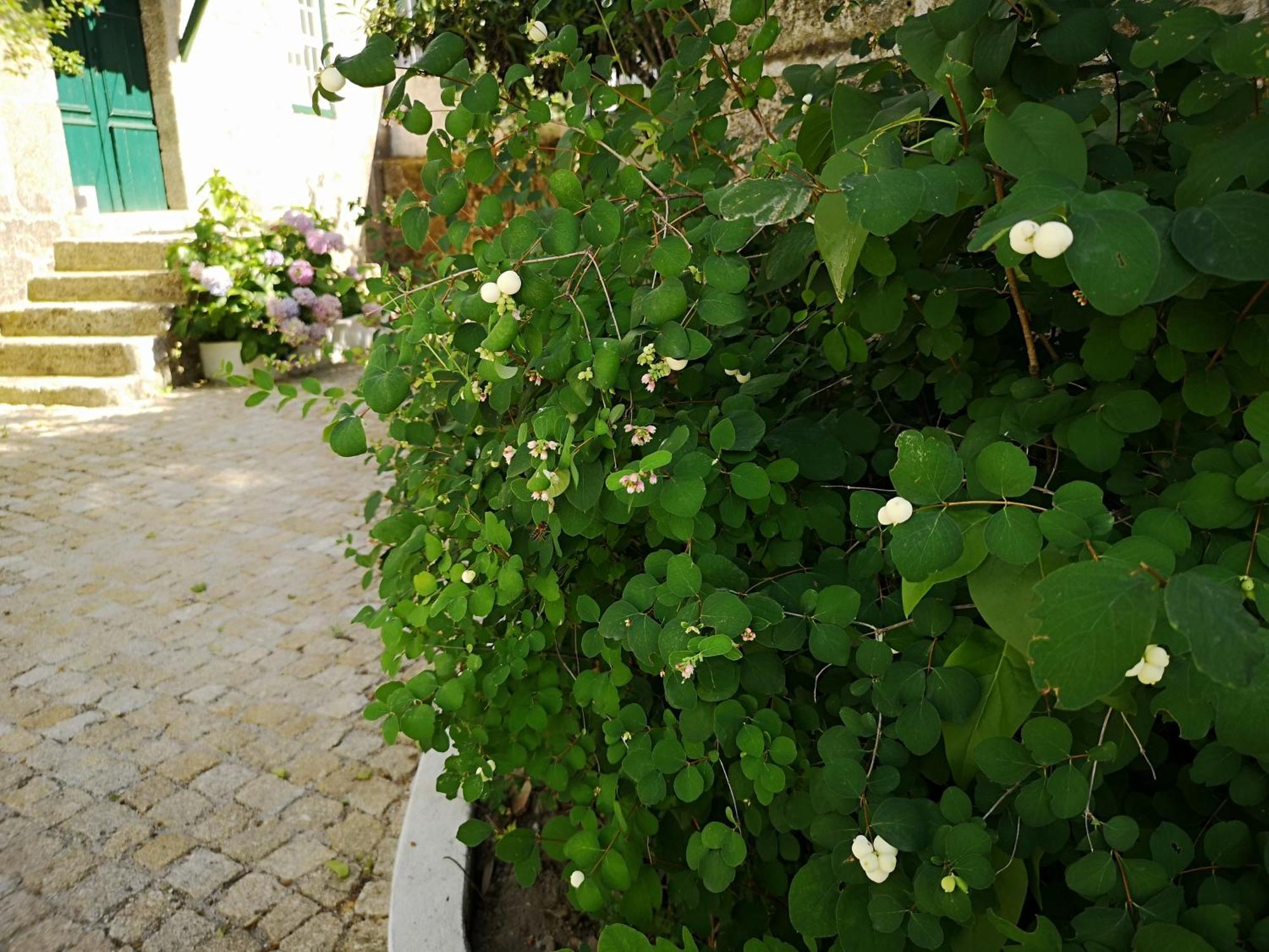 Villa Refugio De Calheiros Covilhã Exterior foto