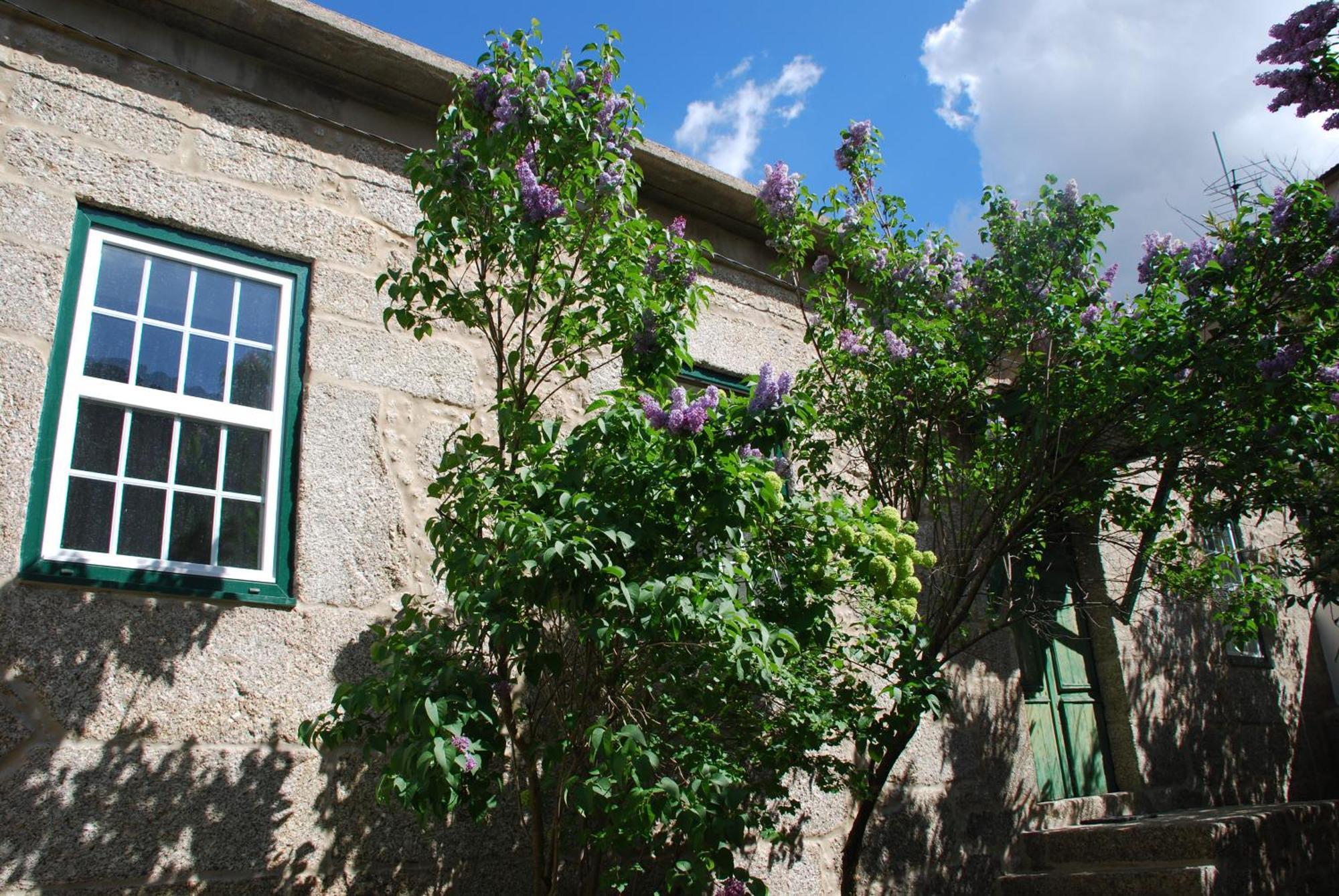 Villa Refugio De Calheiros Covilhã Exterior foto